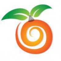 Orange Diagnostic Ultrasound, Inc. Logo