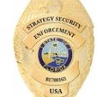 Strategy Security Enforcement Logo