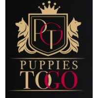 Puppies To Go Logo
