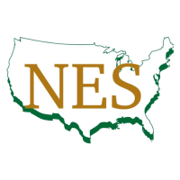 NES Building Solutions Logo