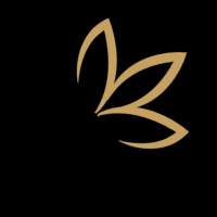 Aniise Natural Skin Care and Cosmetics Logo