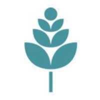 Austin Area Obstetrics, Gynecology, and Fertility Logo