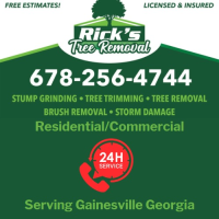Rick's Tree Removal & Stump Grinding LLC Logo