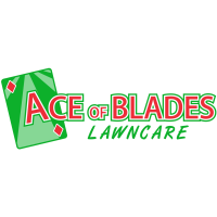 Ace of Blades Logo