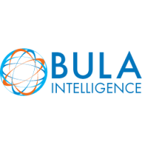 Bula Intelligence Logo