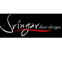 Sringar Hair Design Logo