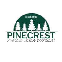 Pine Tree Services Logo