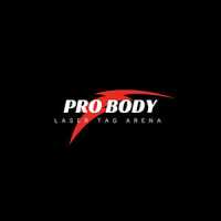 Pro Auto Body & Paint Logo