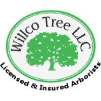 Willco Tree LLC Logo