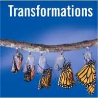 Transformations Accountable Life Coaching Logo