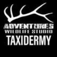 Adventures Wildlife Studio Logo