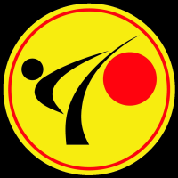 Excel Martial Arts Logo