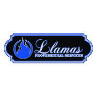 LLAMAS PROFESSIONAL SERVICES Logo