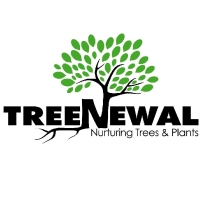 Treenewal Logo