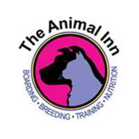 Animal Inn The Logo