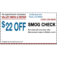 Valley Smog Logo