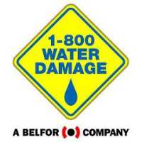 1-800 WATER DAMAGE of Southeast Michigan Logo
