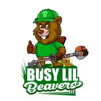 Busy Lil Beavers LLC Logo