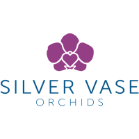 Silver Vase Logo