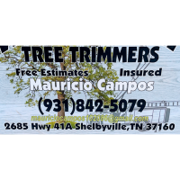 Wright way tree trimmers Logo