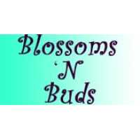 Blossoms 'N Buds Logo