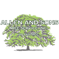 Allen & Sons Tree Service Inc Logo
