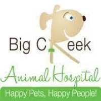 Big Creek Animal Hospital Logo