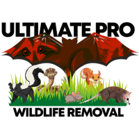 Ultimate Pro Wildlife Removal LLC Logo