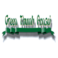 Green Thumb Bonsai Logo