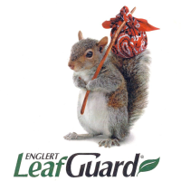 LeafGuard of the Southeast Carolinas Logo