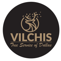 Vilchis Tree Service of Dallas Logo