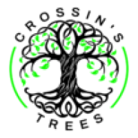 Crossin's Tree Service Logo
