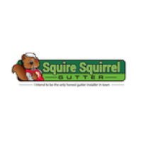 Squire Squirrel Gutters Logo