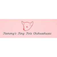 Tammy's Tiny Tots Chihuahuas Logo
