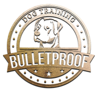 Bulletproof Dog Training Logo