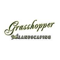 Grasshopper Landscaping & Maintenance Logo