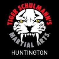 Tiger Schulmann's Martial Arts (Huntington, NY) Logo