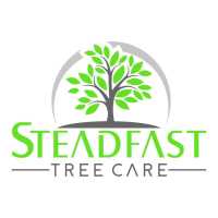Steadfast Tree Care Orange Logo