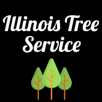 Illinois Tree Service Logo