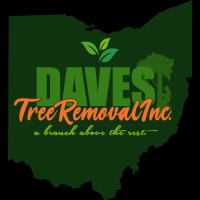 Daves Tree Removal Inc. Logo