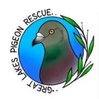 Great Lakes Pigeon Rescue Logo