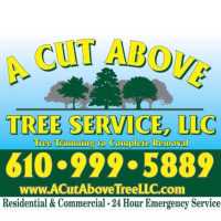 A Cut Above Tree Service LLC Logo