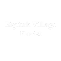 Bigfork Village Florist Logo