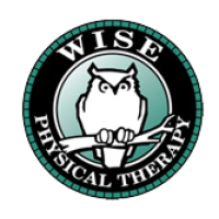 Wise Physical Therapy Logo