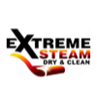 Extreme Steam Dry and Clean Logo
