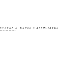 Steven E Gross & Associates Logo