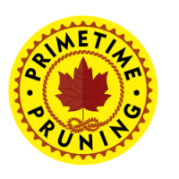 Primetime Pruning Logo