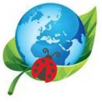 Ladybug Cleaning Services Logo