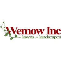 Wemow Logo