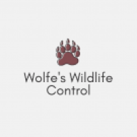 Wolfe's Wildlife Control Logo